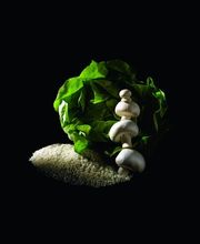 TRANSGOURMET image 13