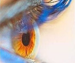 Magny Optique image 3