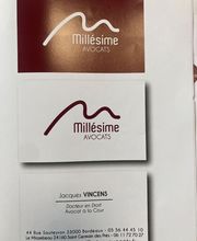 Vincens Jacques image 1