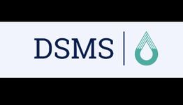 DSMS