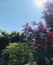 Schilling & Lang eGbR Bild 4