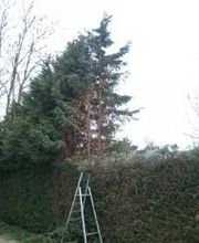 Sté Atout Vert image 2