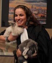 Etude Fair Law Bild 1