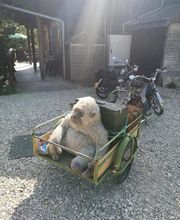 Chalet de la Bourre image 4