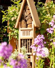 Taïga, Inspiration Nature SA Bild 5