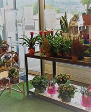 Gamm Vert - Nyons Nature image 1