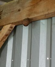 Breizh Nuisibles Services image 3