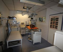 Kleintierpraxis Eckhard Bürgener Tierarzt Bild 6