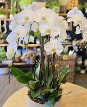 A Goode Florist image 17