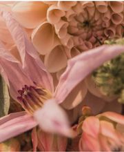 DOFLORES Annette Reich Bild 2