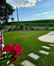 Rodet Paysages et Piscines image 9