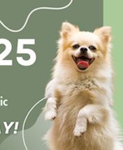Town & Country Veterinary Associates image 3