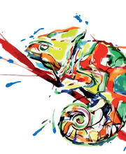 France Nuanciers SARL image 4