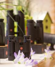 Optique Piguet Sàrl Bild 6