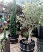 Espace Vert en Cévenne SARL image 12