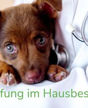 felmo-leistungen-Impfung im Hausbesuch.jpg