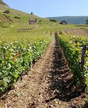 Maison Froquet image 1