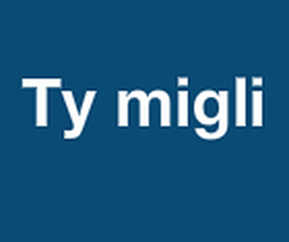 Ty Migli Ty Migli image 1