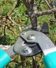 Haldensleber Gebäude Service Michael Ziegler Bild 5