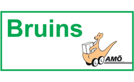 Bruins Umzüge