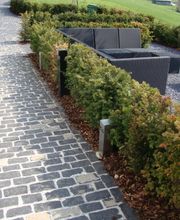 Elektro Fisch AG Bild 1