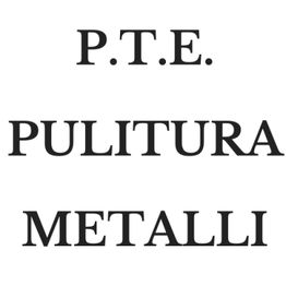 P.T.E. Pulitura Metalli logo