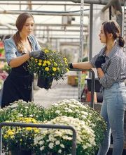 Gartenservice Geister Bild 2