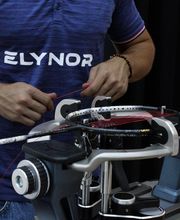 Elynor image 7