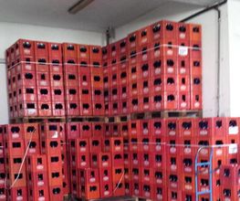 Gallery Cliente