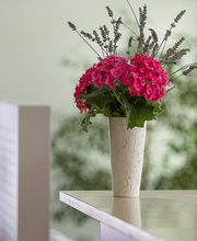 Gemeinschaftspraxis FFB Gastroenterologie und Kardiologie, PD Dr. med. R. Hein-Rothweiler, Dr. med. R. Kurz, C. Kastner Bild 4