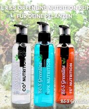 R&S Garnelenwelt Online Shop Bild 5