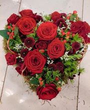 Blumen Dahlmann Bild 4