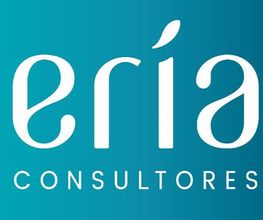ERIA Consultores imagen 8