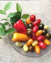 MediaContact e.K. Bild 4