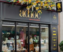 Adhoc image 12