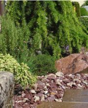 Müko Gartengestaltung AG Bild 3