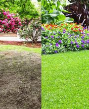 Gartenarbeiten und Außenanlagenpflege