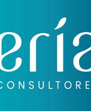 ERIA Consultores imagen 8