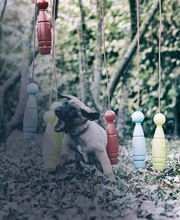 Security Units GmbH Bild 7