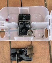 Gothon Dératisation Désinsectisation Désinfection image 8