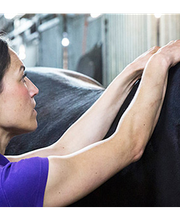 König Hans Georg Dr.med.vet. Bild 7