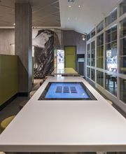 McDonald's Bild 6
