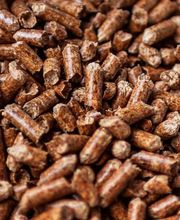 Paganoni Bois image 11