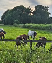 Otto-Hermann Thiede Bild 1