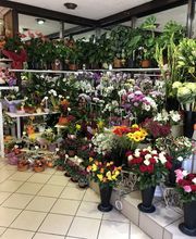 Floral'Is E.I. image 8