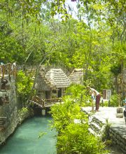Occidental at Xcaret Destination - All Inclusive imagen 6