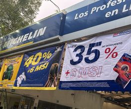 TIREX Michelin Arco Sur imagen 4