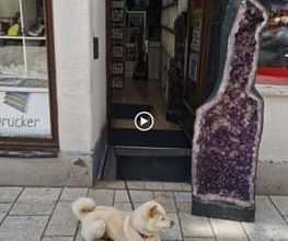 N-G-L-Shop Bild 6