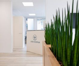 Lunge im Zentrum, Arztpraxis Dr. Bruno Senn und Bassam Atmeh Bild 9