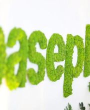Baseplus DIGITAL MEDIA GmbH Bild 2